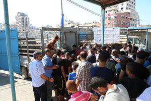 UNRWA DISTRIBUTES ADAHI MEAT TO 2,085 REFUGEE FAMILIES IN GAZA, THANKS TO GENEROUS SUPPORT FROM ISLAMIC RELIEF USA
