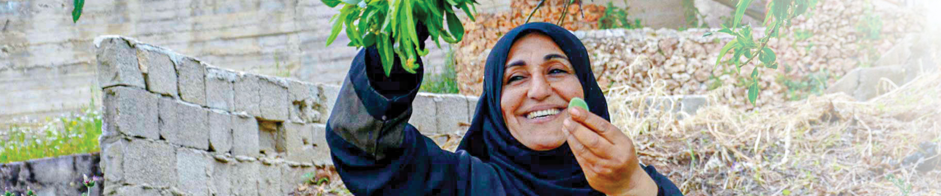 Chicago to Palestine | April 19 - Islamic Relief USA