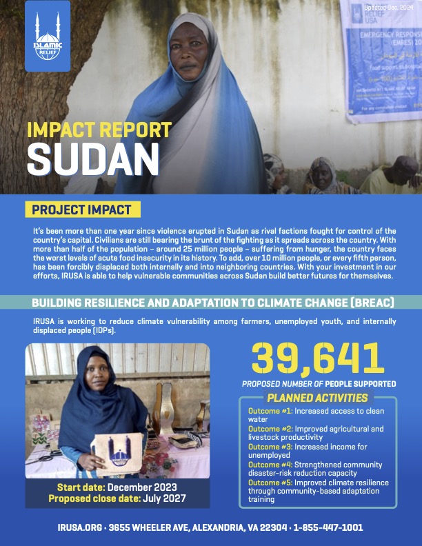 Download Sudan Impact Report