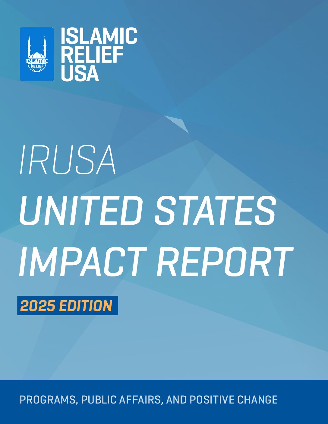 2025 Blue Book_IRUSA_Final Draft_Web